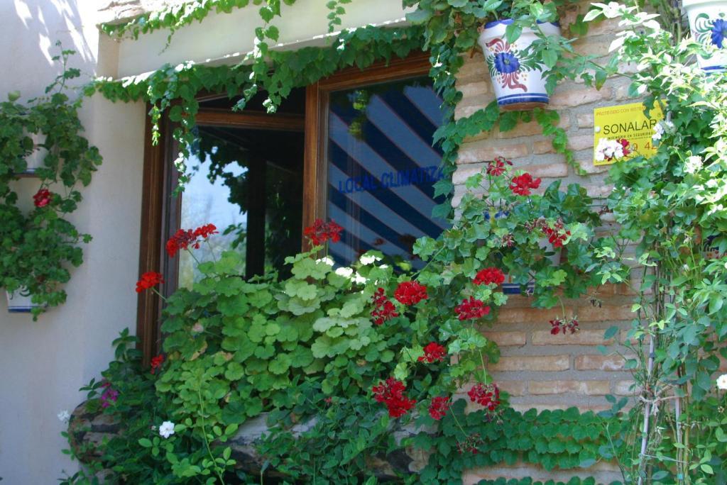 Capricho Del Valle Country house