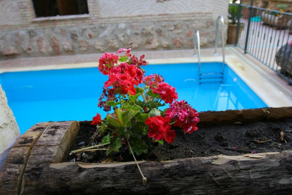 Capricho Del Valle Country house