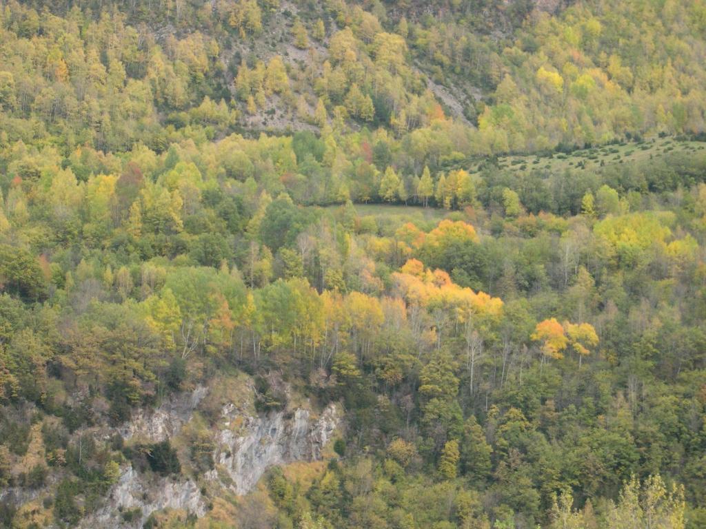 Estop * Sahún