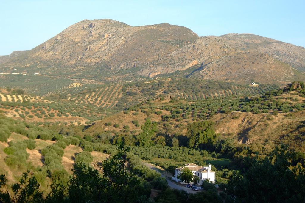 Casa Olea