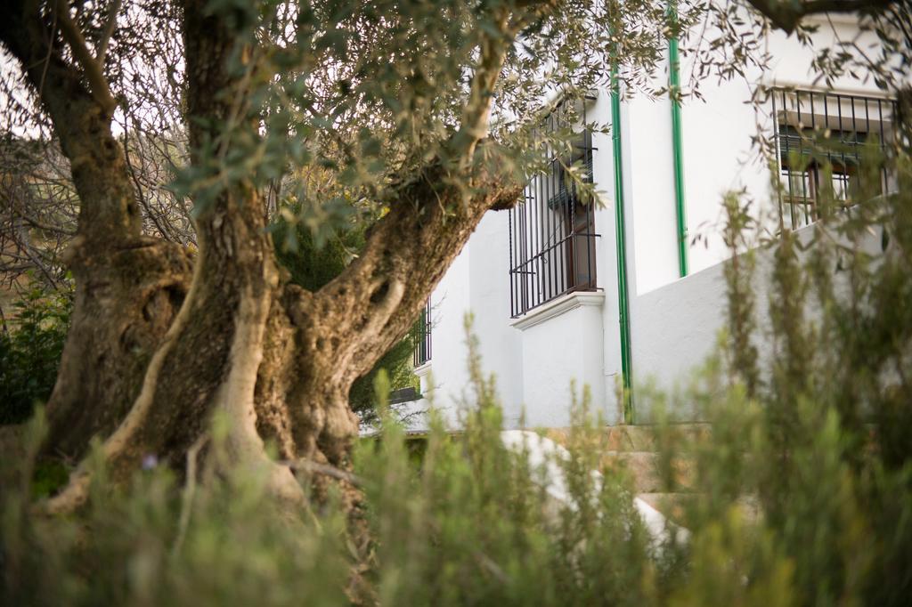Casa Olea * Priego de Córdoba