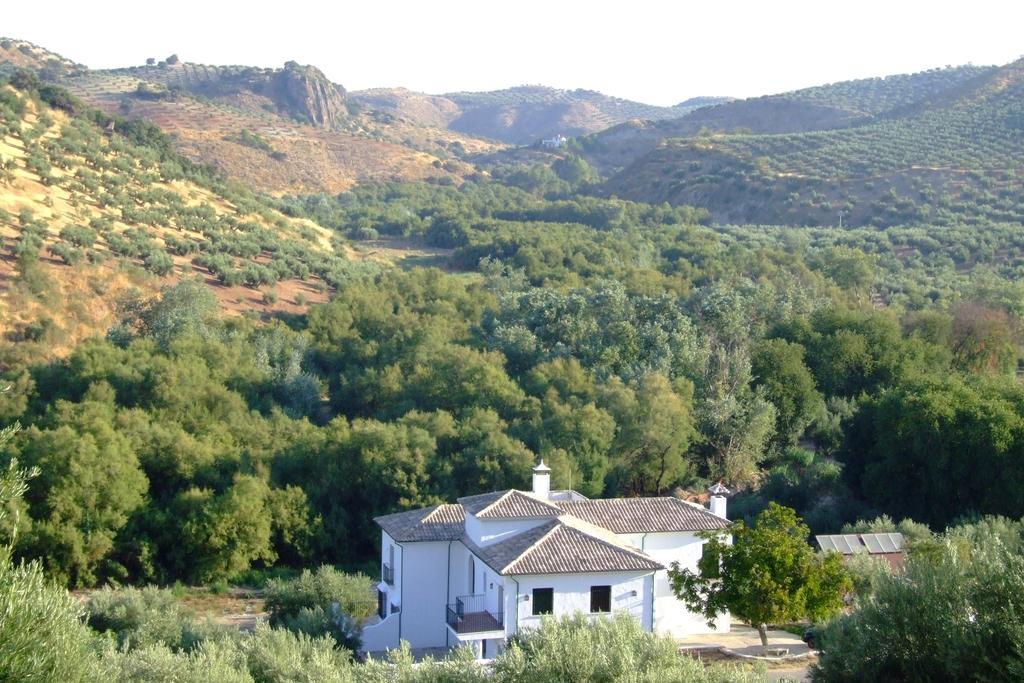Casa Olea *
