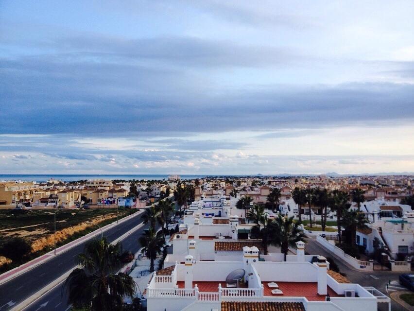 Jumilla Iii * Dehesa de Campoamor (Orihuela Costa)