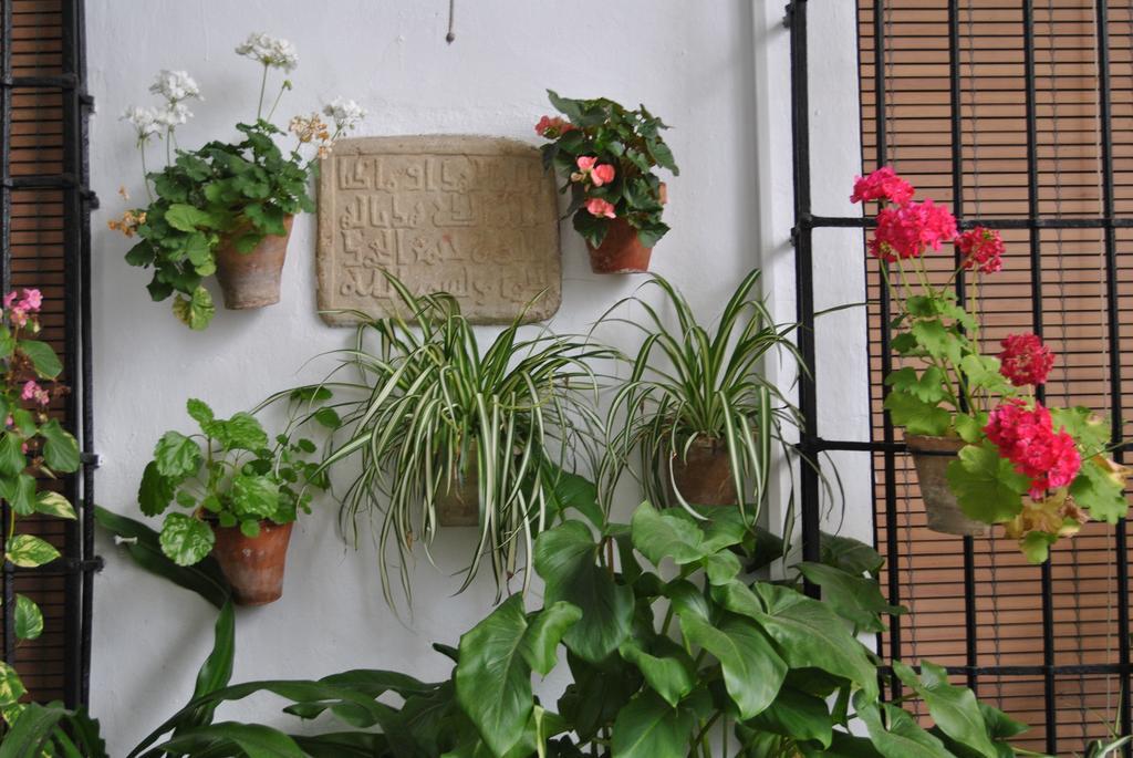 Patios Hotel *