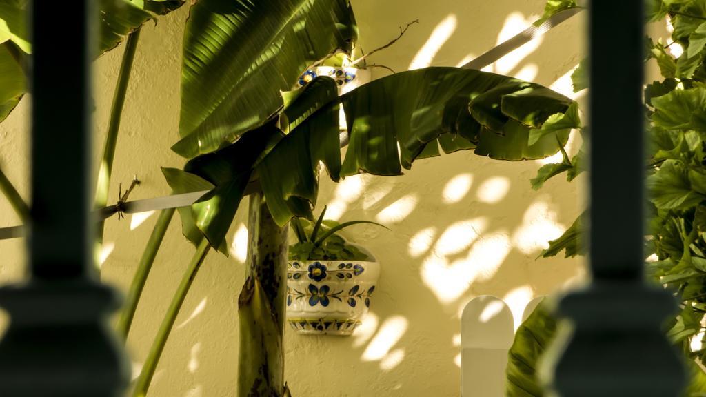 Guest house Campo Nuevo Sanlucar de Barrameda