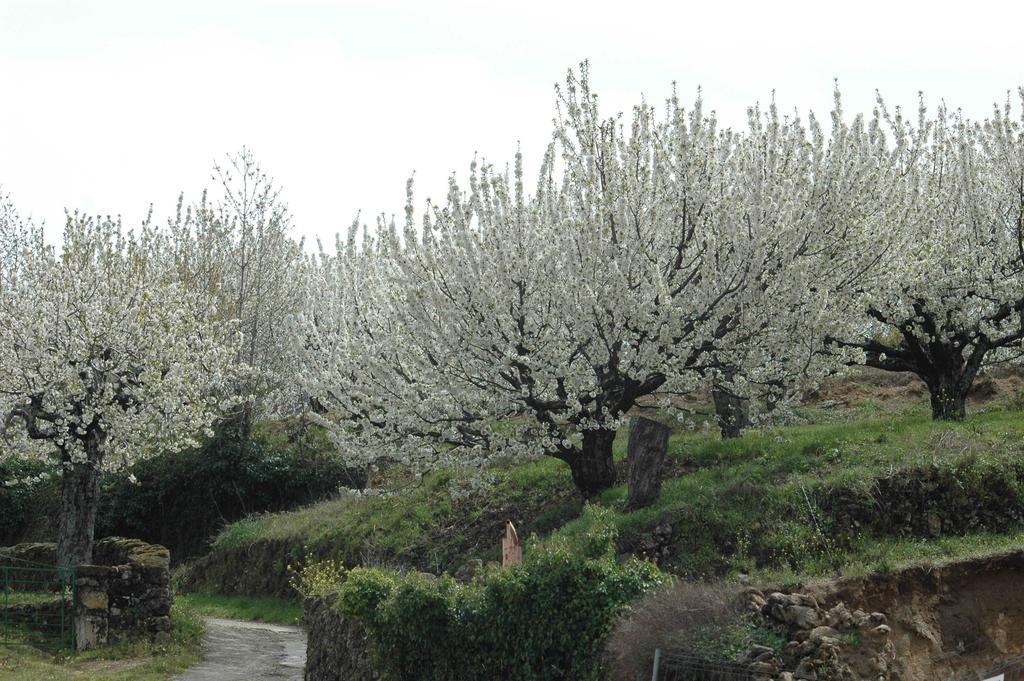 Yuste Pensión Garganta la Olla