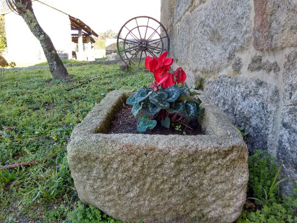 A Cantaruxa Maruxa Casa rural Mondariz