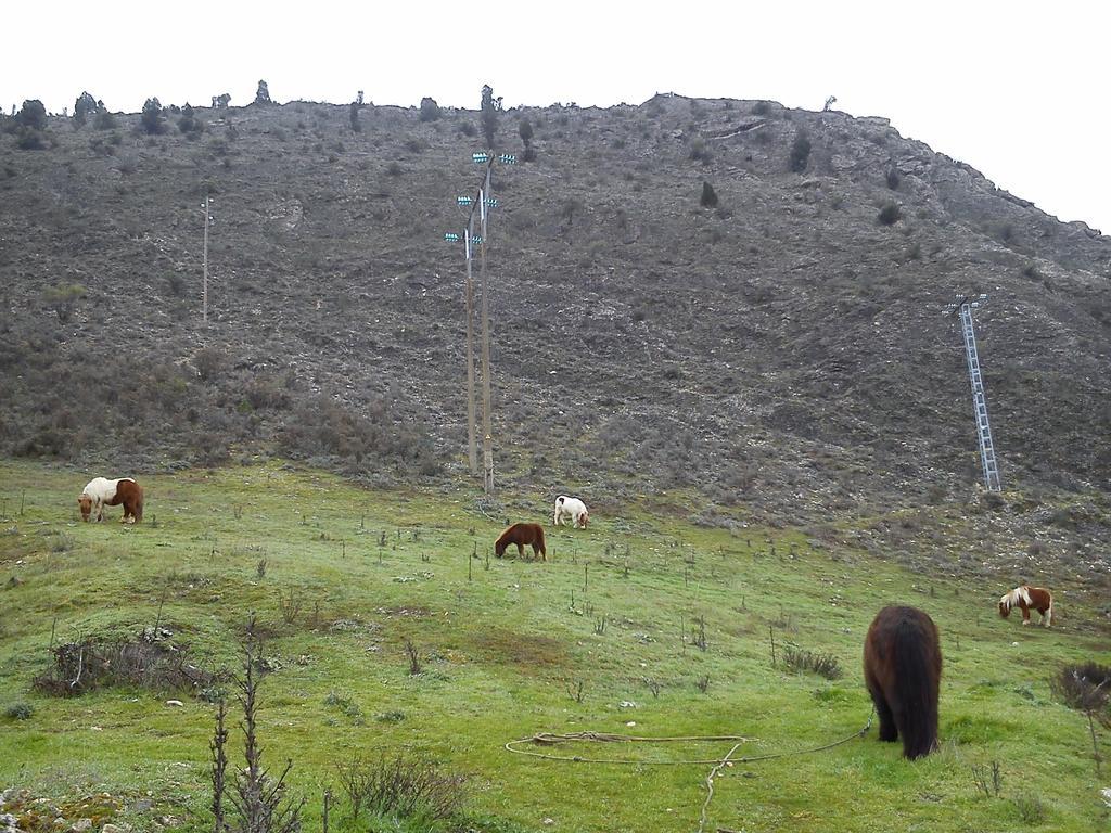 Rural Pantano De Agroturismo