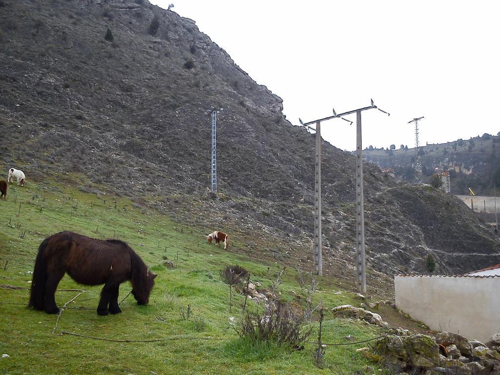Rural Pantano De *