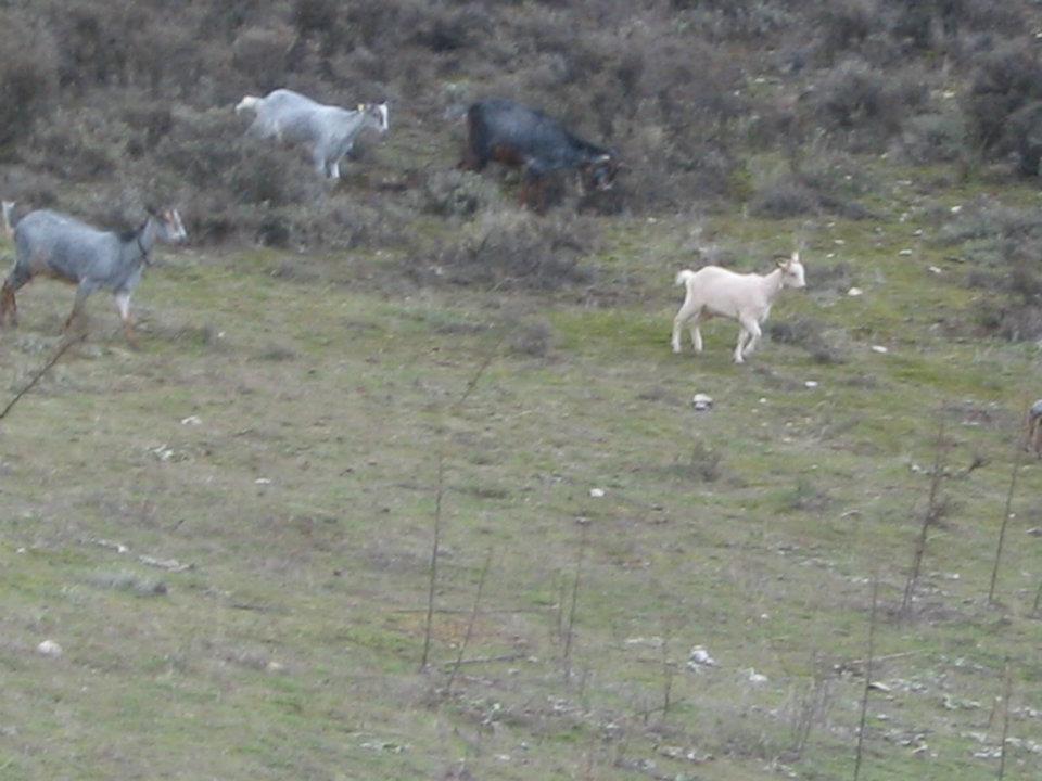 Rural Pantano De Agroturismo *