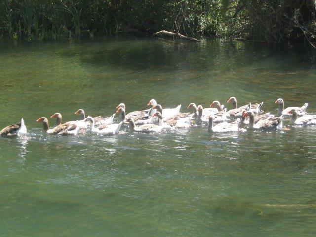 Agroturismo Rural Pantano De