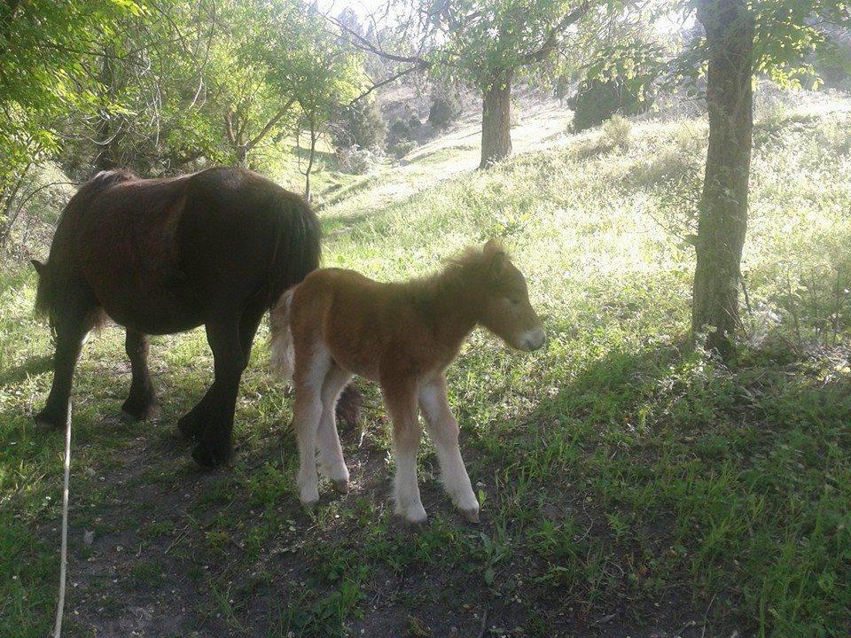 Rural Pantano De *