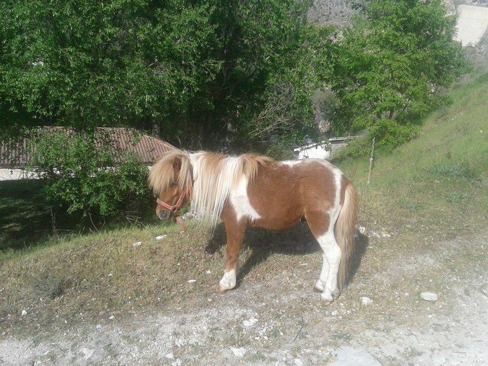 Rural Pantano De Agroturismo *
