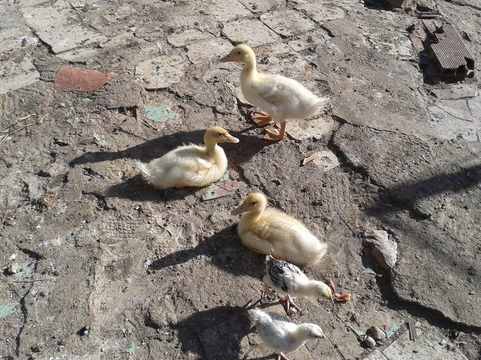 Rural Pantano De Agroturismo