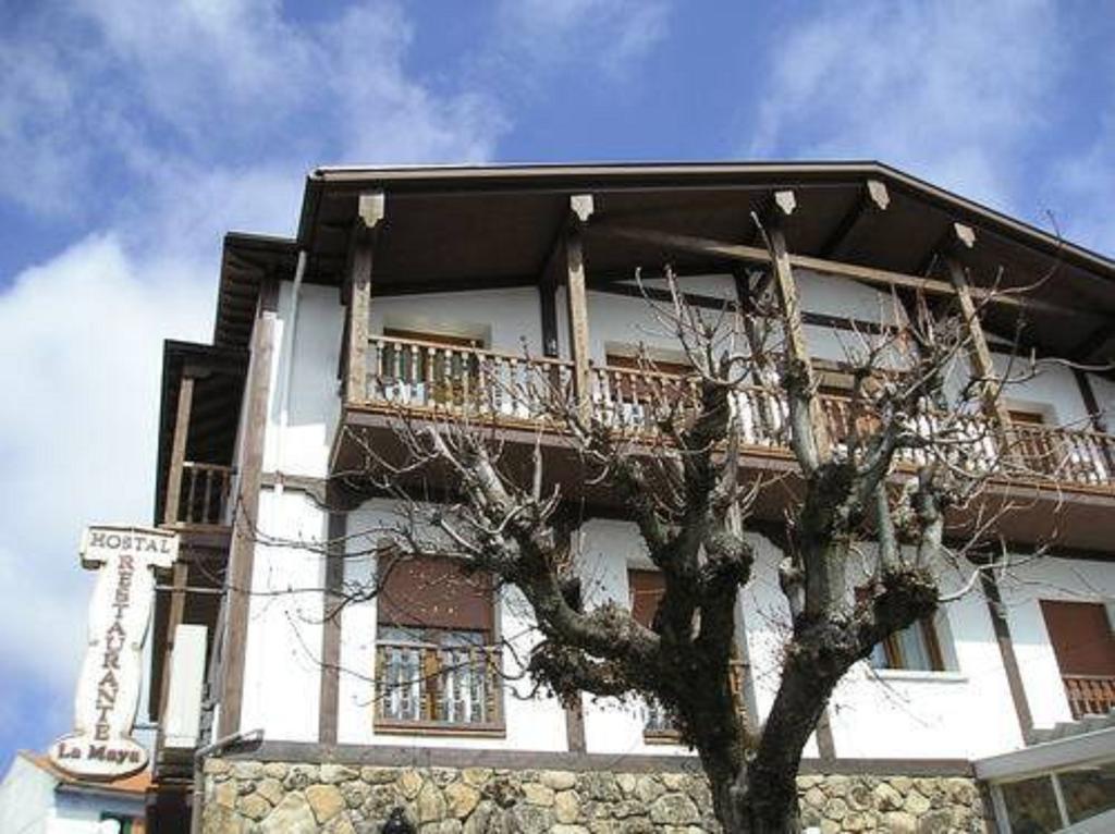 Guest house La Maya 2*