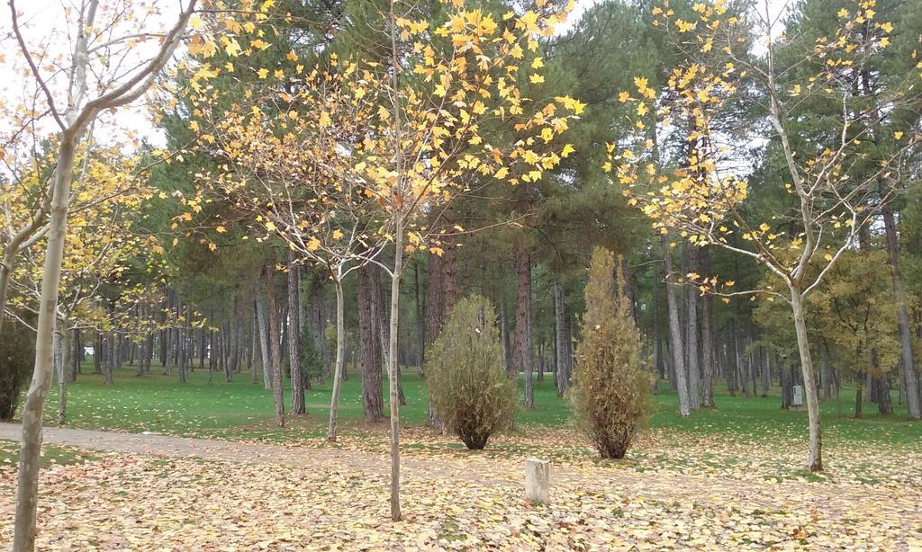 Campsite Camping Caravaning Cuenca (Castilla-La Mancha)