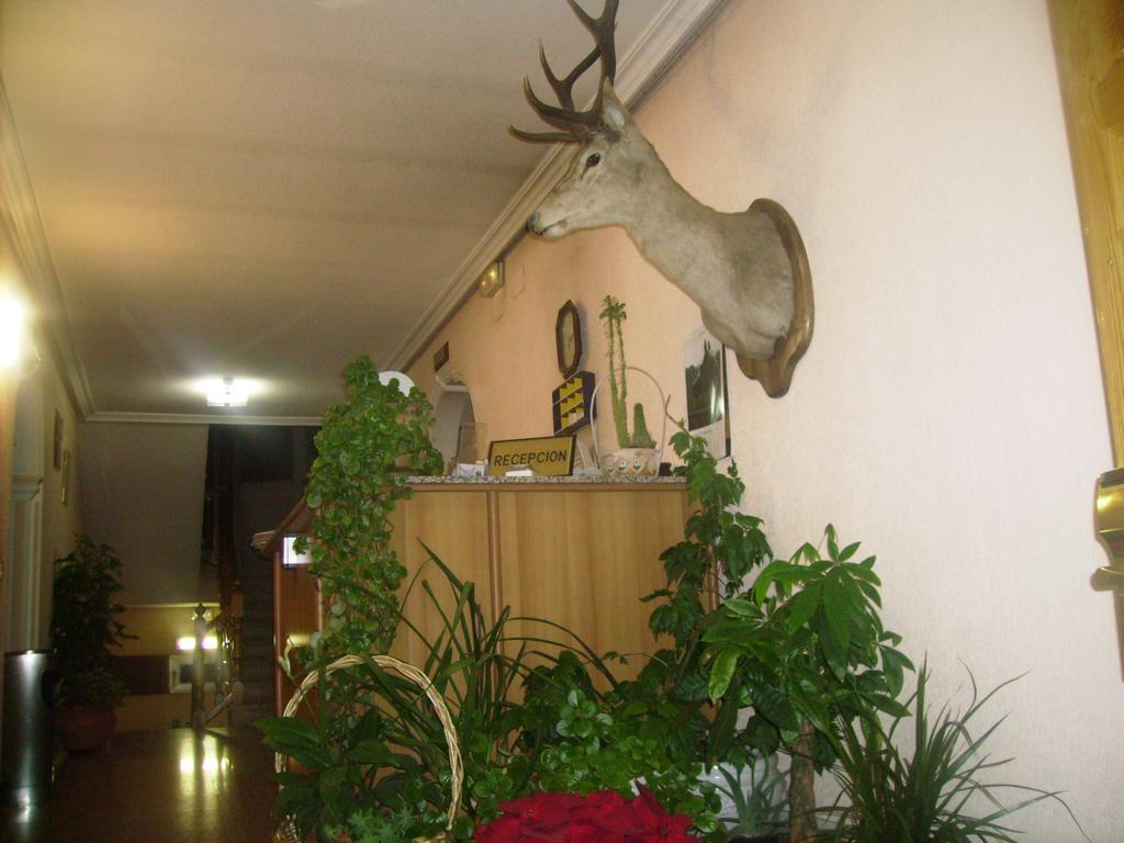 Hotel Nieves Las Nieves (Castilla-La Mancha)