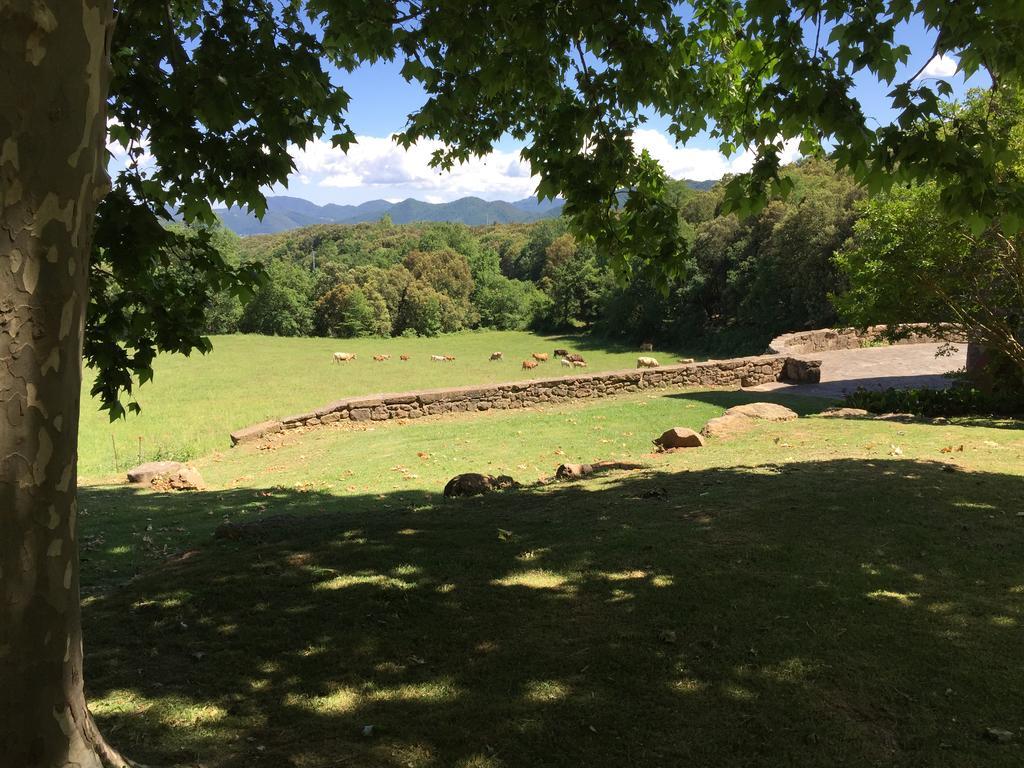 El Callís La Vall de Bianya