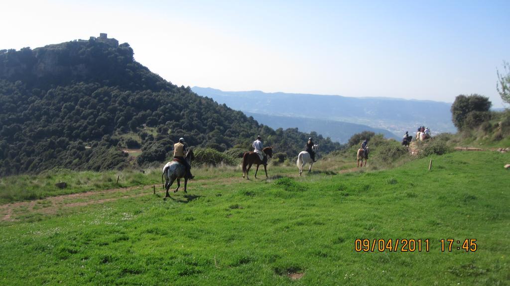 Rural