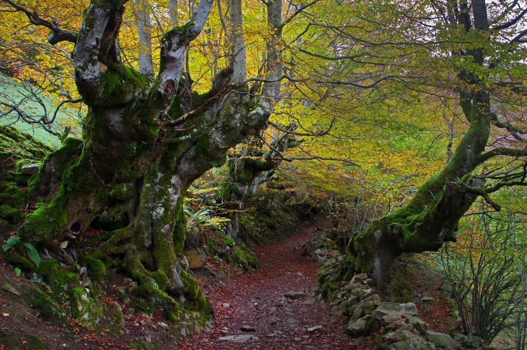 La Regoria * Carrena de Cabrales