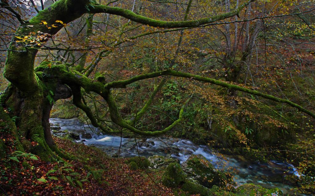 La Regoria Country house Carrena de Cabrales