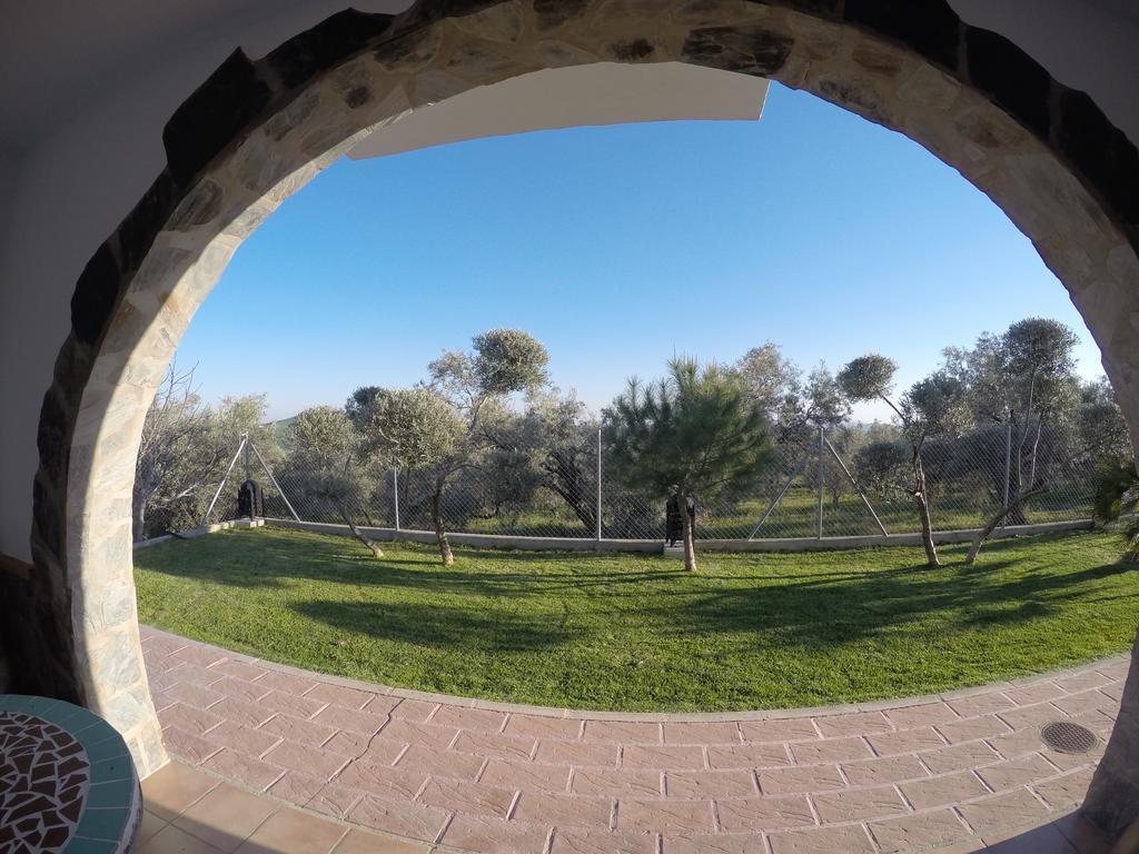 Casa rural Lo Pinto *