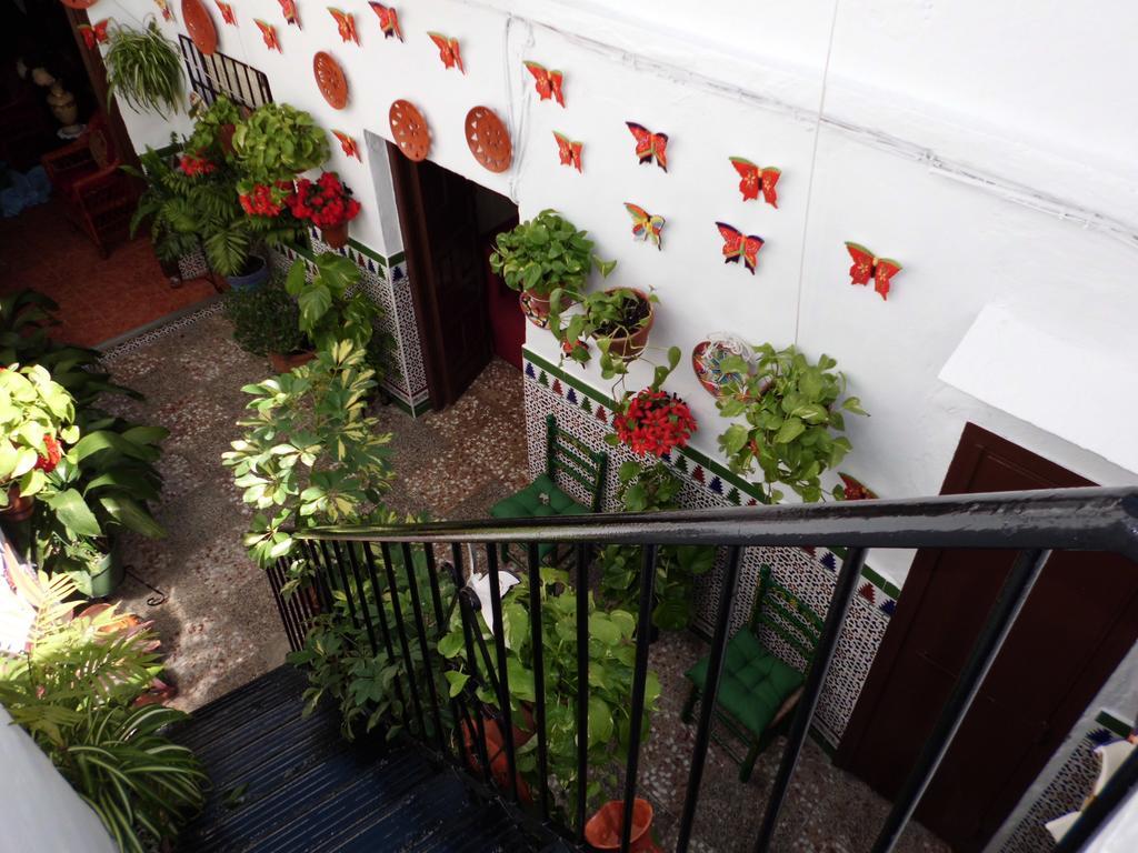 Agustina Guest house