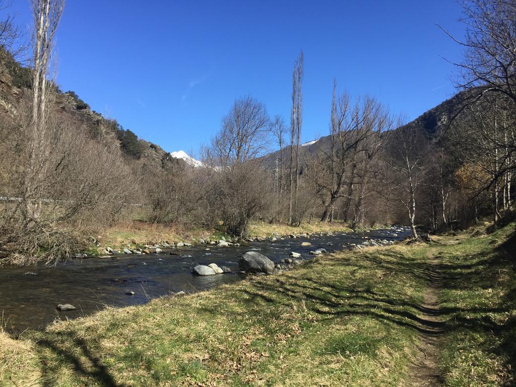 Sol I Neu