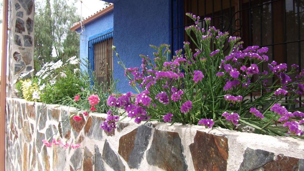 Mi Campo Country house