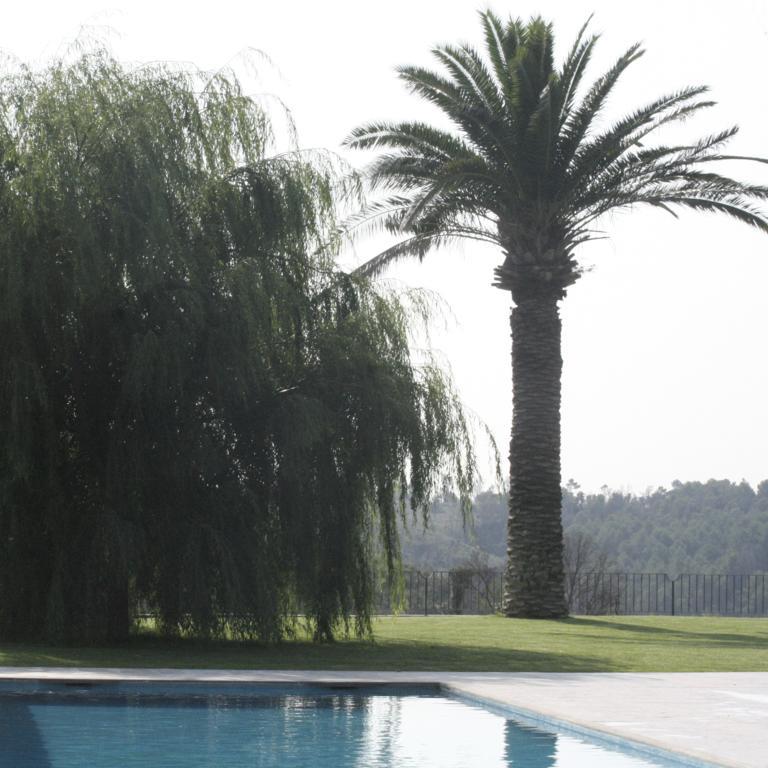 Mas Oliveres Pla De Palau Hotel Llers