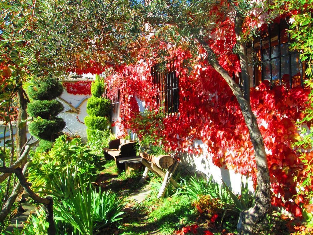 Casa rural Cortijo Brazal La Ventaja *