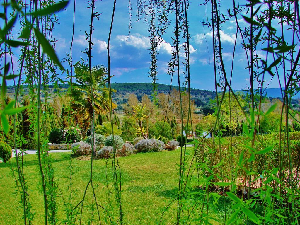 La Perla Blanca - Guest house 3*