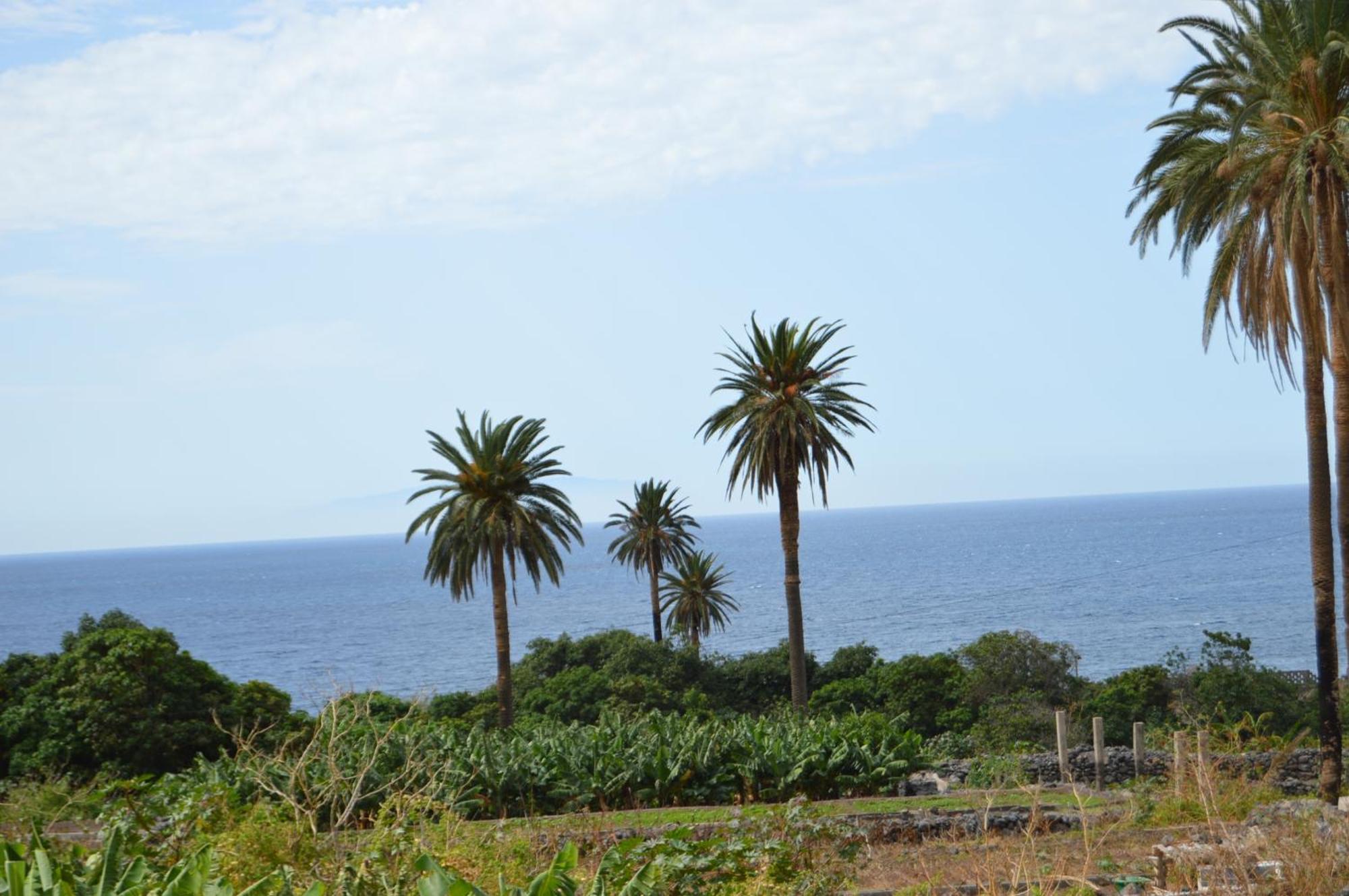 Goyo Gomera