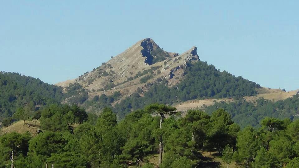 Holiday home Casa Rural Los Nogales