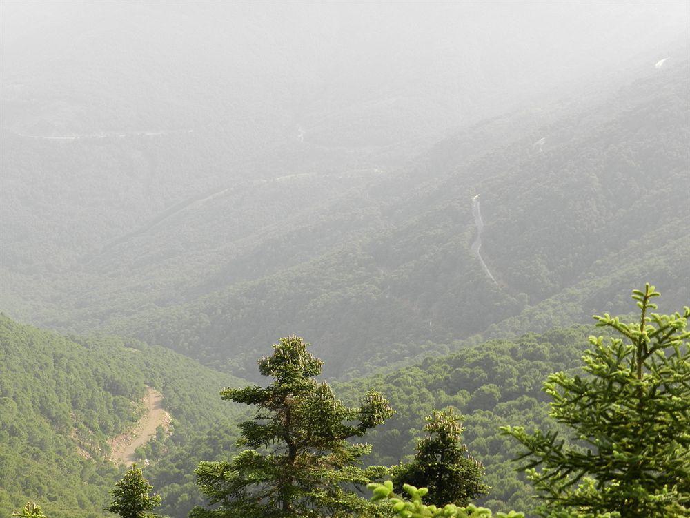 Mirador De