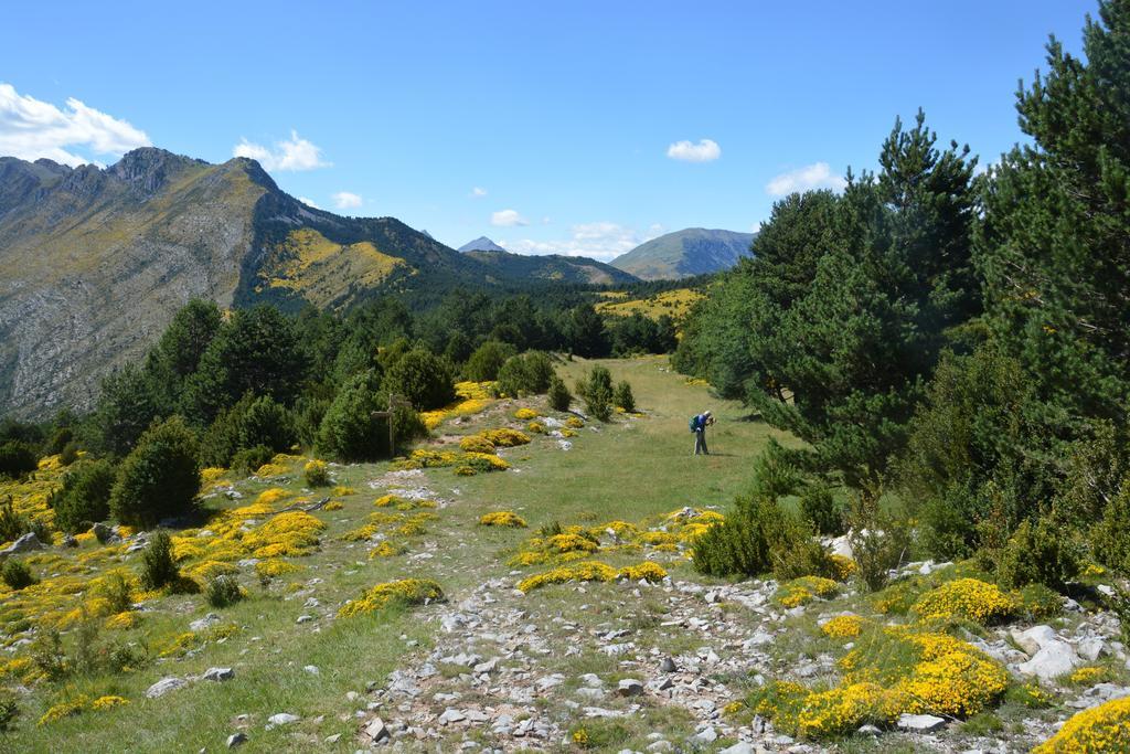 San Marsial Y Apartamento