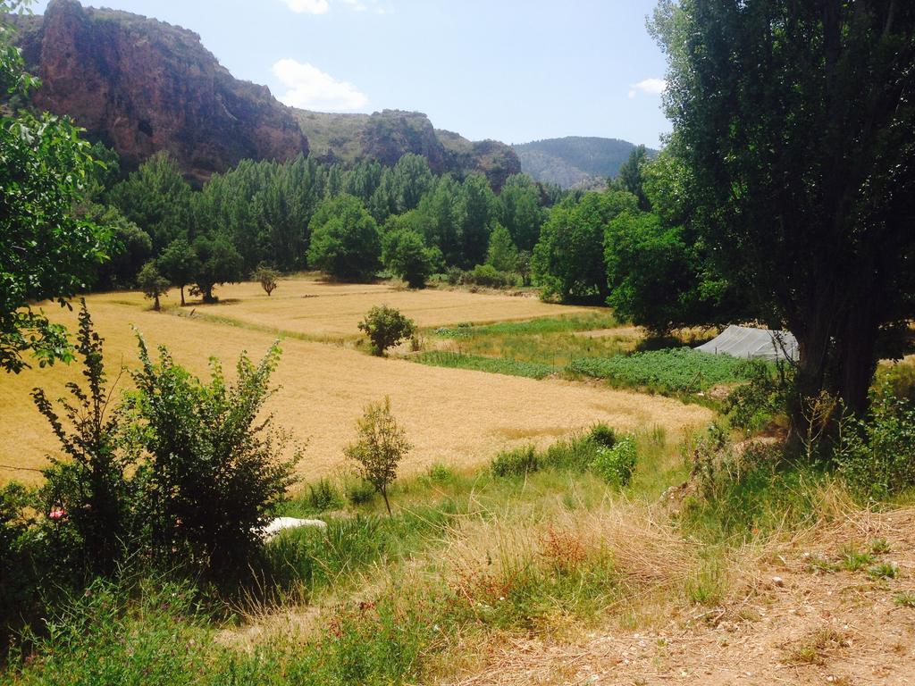 Casa rural Encanto De Aragón