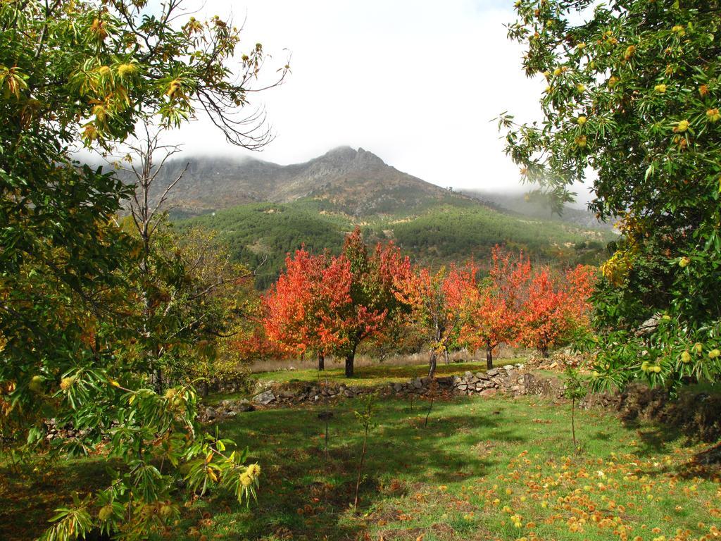 Casa El Herragu Holiday home