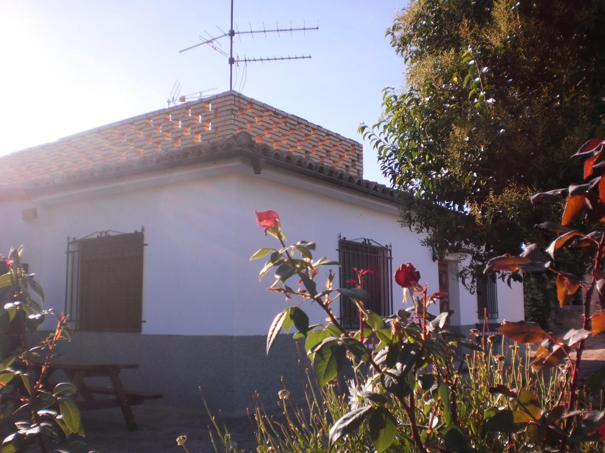 Casa Los Olivos Gravalos