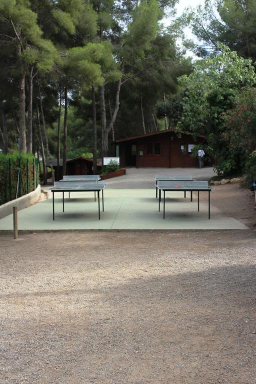 Casa De Colonies Finca *