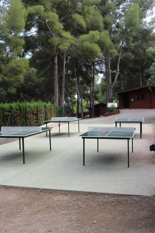 Hostel Casa De Colonies Finca *