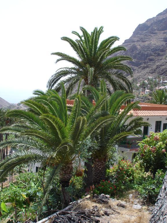 Goyo Gomera * Valle Gran Rey