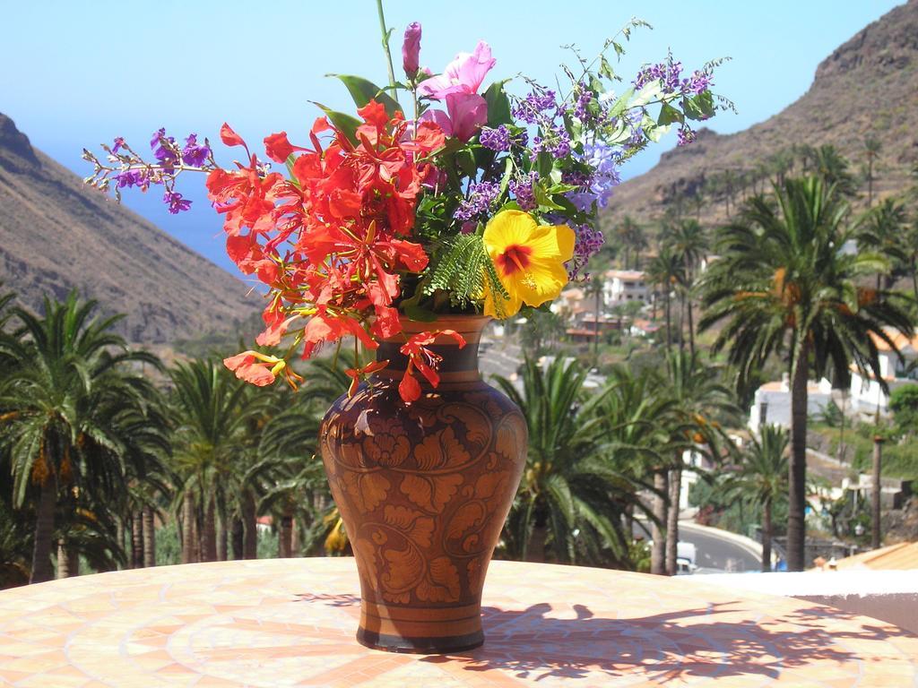Goyo Gomera Apartamento