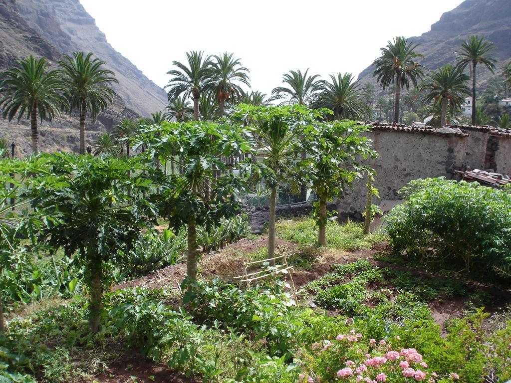 Apartamento Goyo Gomera *