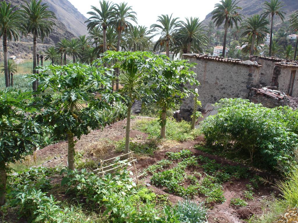 Goyo Gomera *