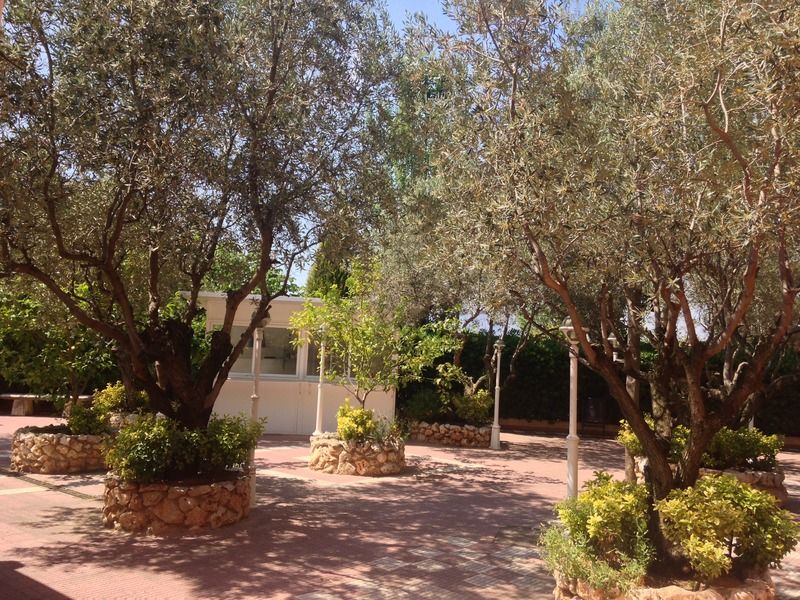 Les Torres Hotel Sant Esteve Sesrovires