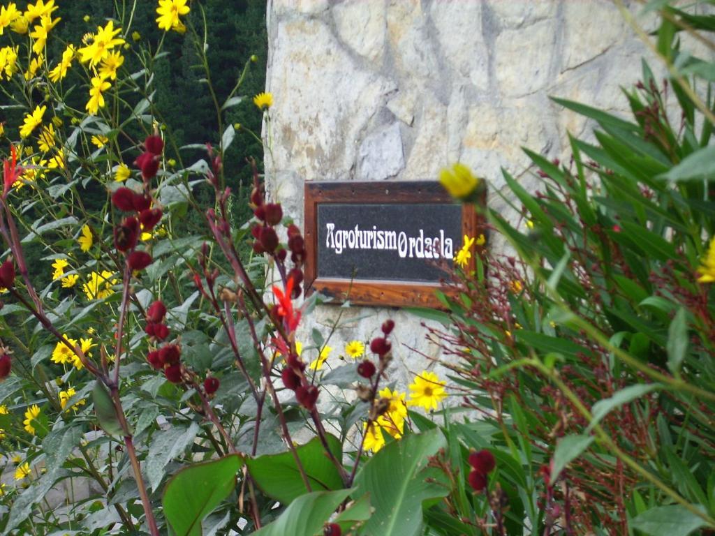 Agroturismo Ordaola Country house
