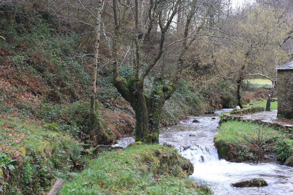 Rurales Veredas