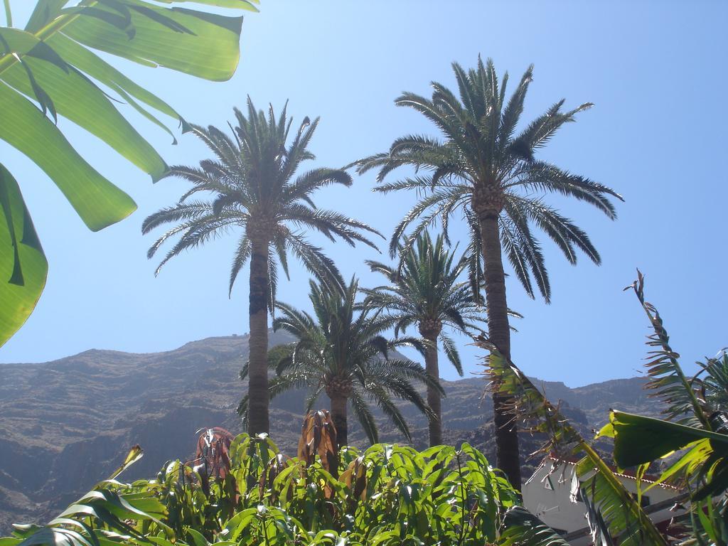 Goyo Gomera Apartamento Valle Gran Rey