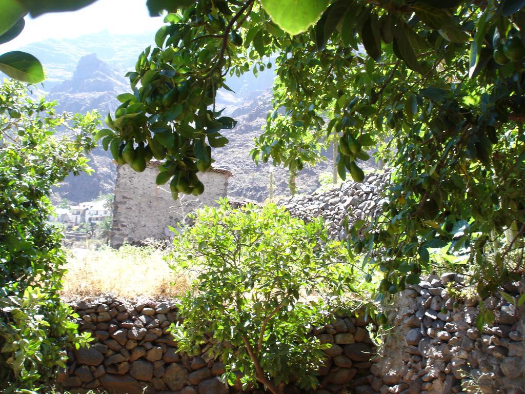 Apartamento Goyo Gomera *